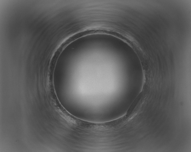 X0000051910880200506241440