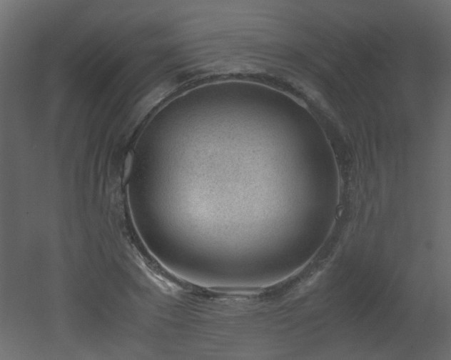 X0000051910881200506241440