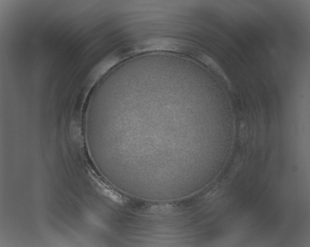 X0000051910882200506241440