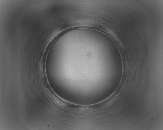 X0000051910883200506241440