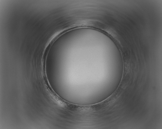 X0000051910886200506241440