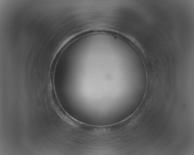 X0000051910887200506241440