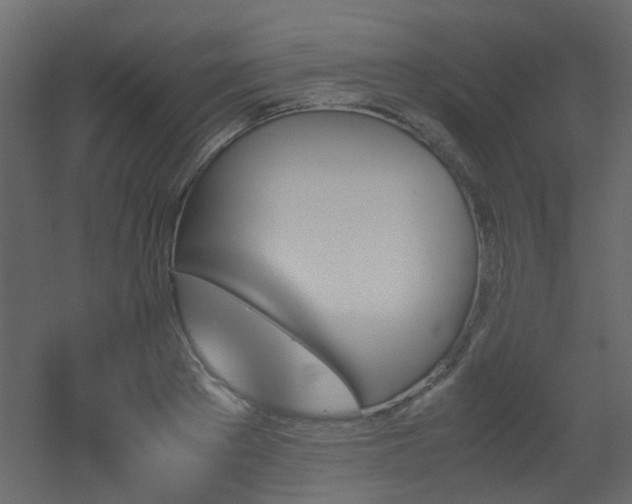 X0000051910889200506241440