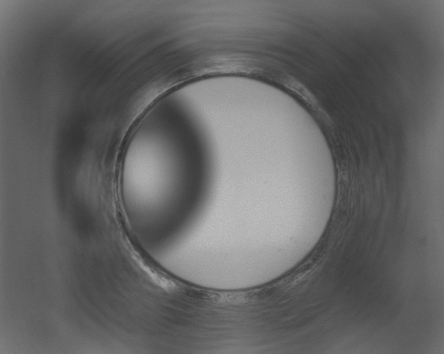 X0000051910890200506241440