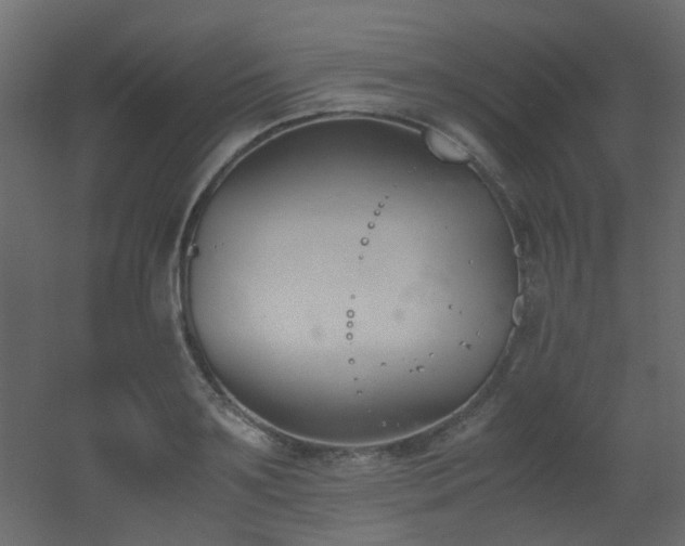 X0000051910891200506241440