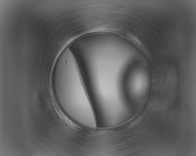 X0000051910892200506241440