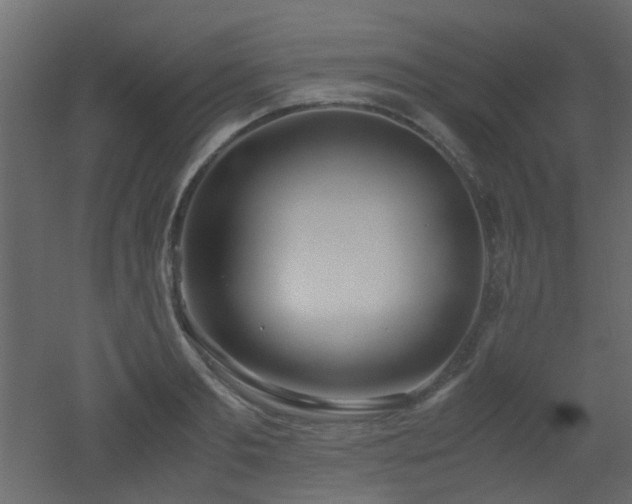 X0000051910893200506241440