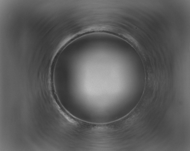 X0000051910894200506241440