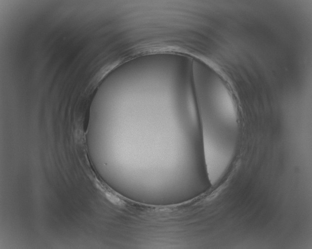 X0000051910897200506241440