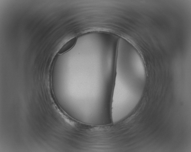 X0000051910898200506241440