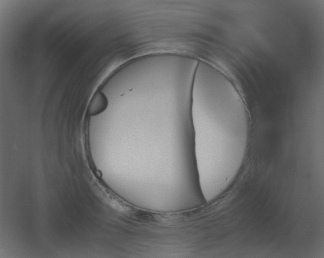 X0000051910899200506241440