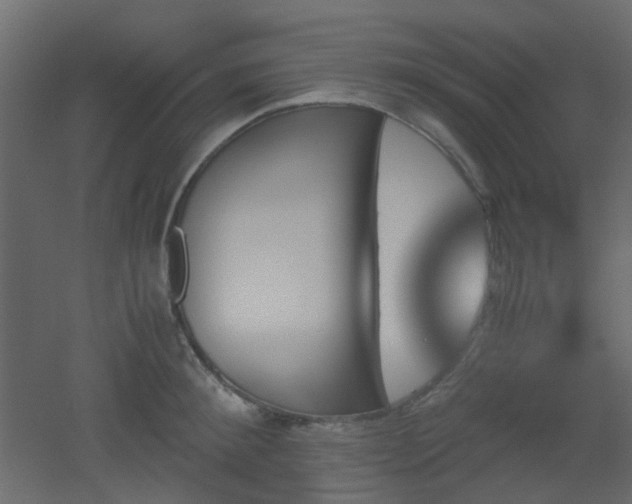 X0000051910900200506241440