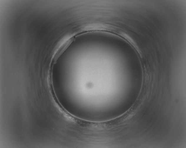 X0000051910901200506241440