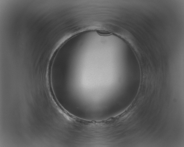 X0000051910902200506241440