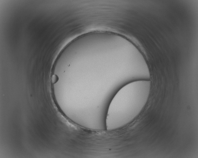 X0000051910903200506241440