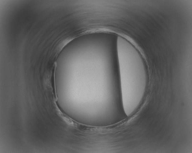 X0000051910905200506241440