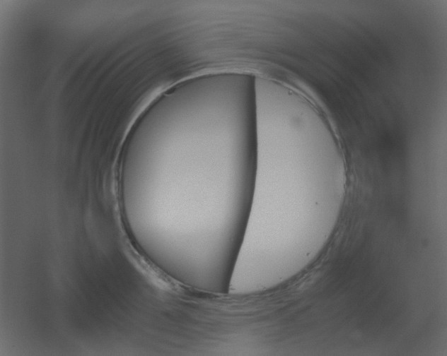 X0000051910907200506241440