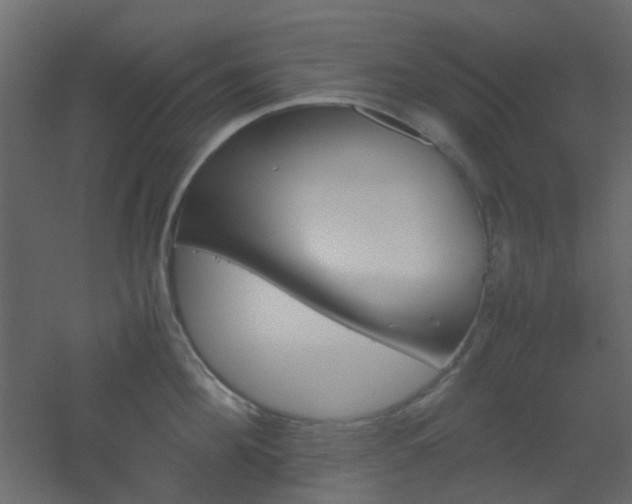 X0000051910908200506241440