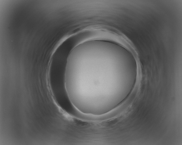 X0000051910909200506241440