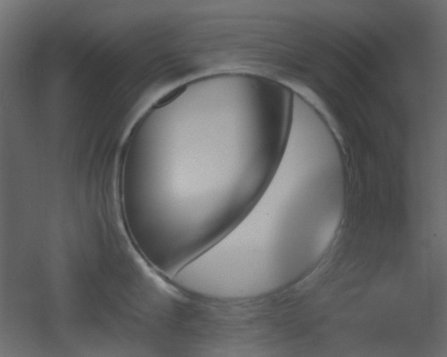 X0000051910910200506241439