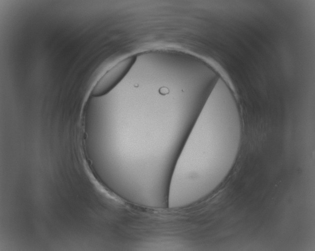 X0000051910911200506241439