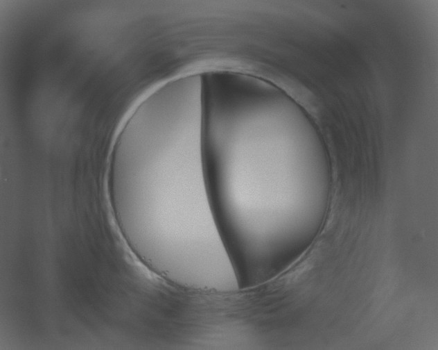 X0000051910912200506241439