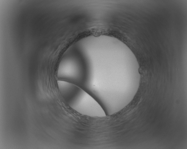 X0000051910913200506241439