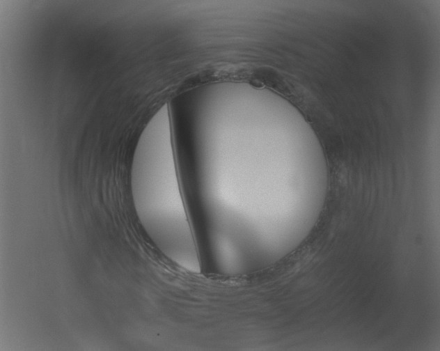 X0000051910914200506241439