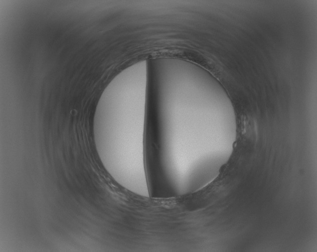 X0000051910915200506241439