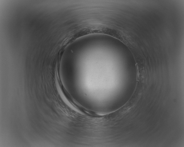 X0000051910916200506241439