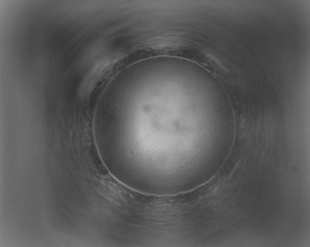 X0000051910917200506241439