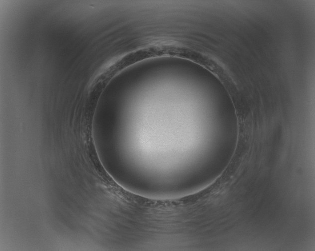 X0000051910919200506241439