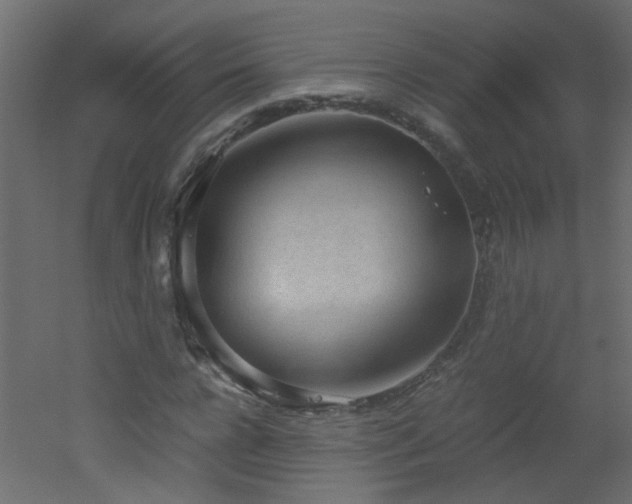 X0000051910920200506241439