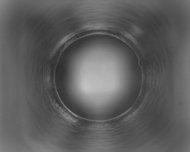 X0000051910922200506241439