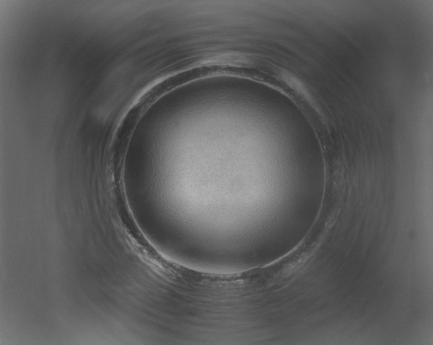 X0000051910923200506241439