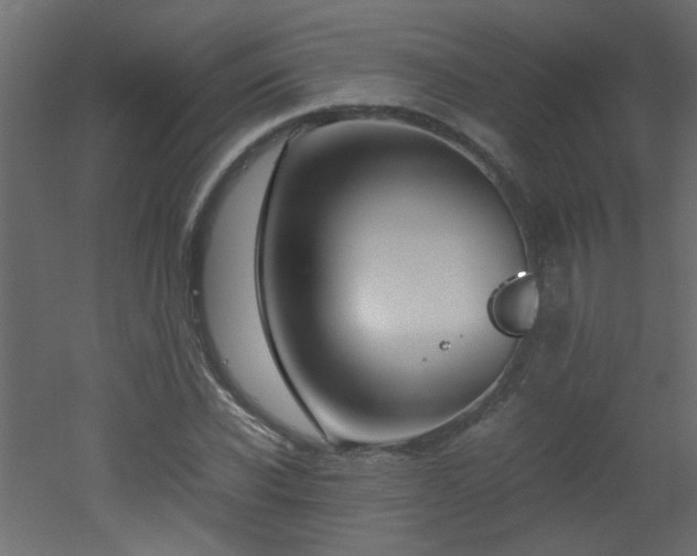 X0000051910926200506241439