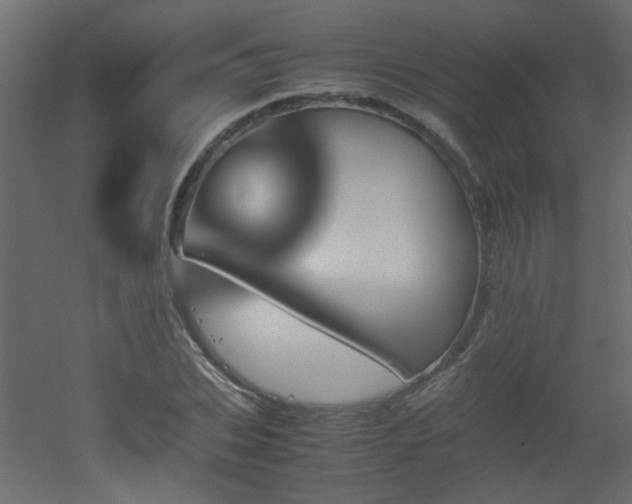 X0000051910927200506241439