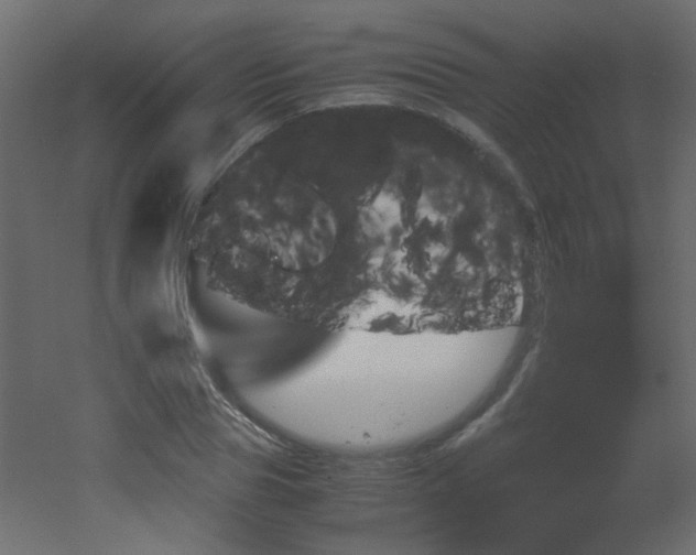 X0000051910929200506241439