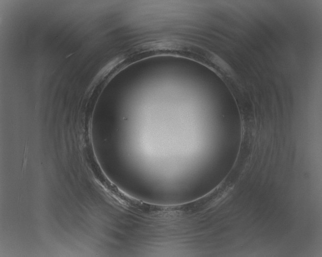 X0000051910930200506241439