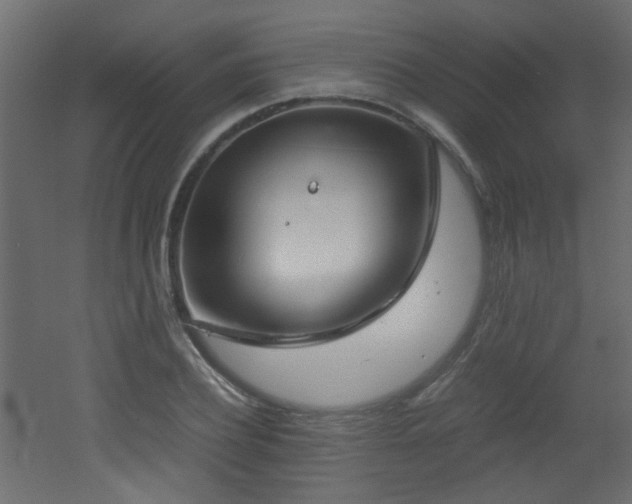 X0000051910932200506241439