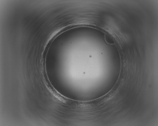 X0000051910933200506241439