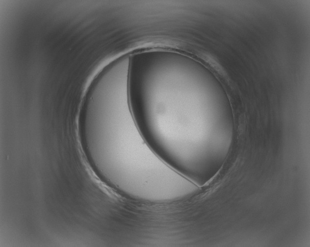 X0000051910936200506241439