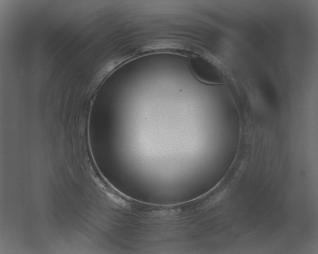 X0000051910937200506241439