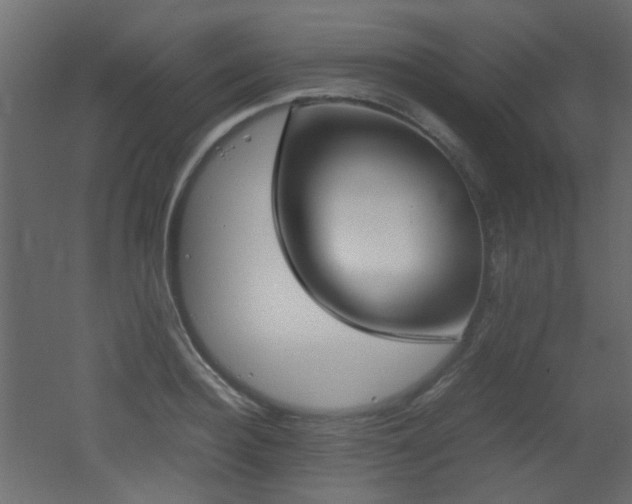 X0000051910940200506241439