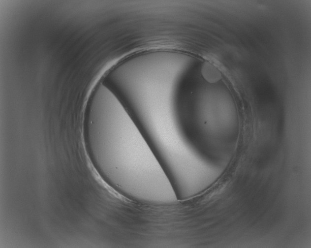 X0000051910941200506241439