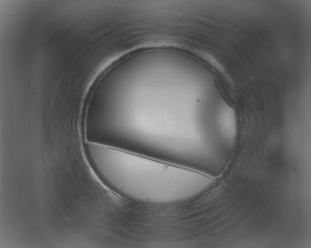 X0000051910943200506241439