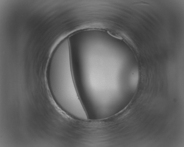 X0000051910944200506241439