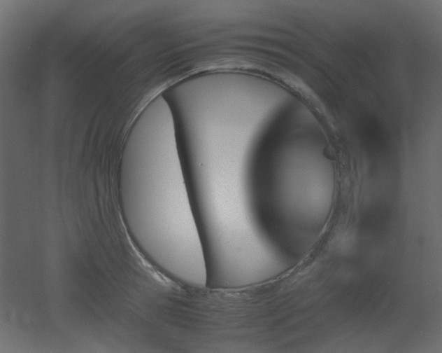 X0000051910945200506241439