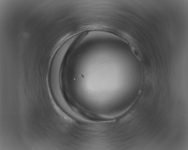 X0000051910946200506241439