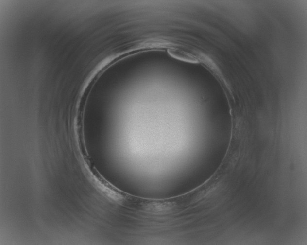 X0000051910947200506241439